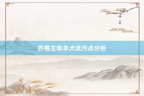 苏格兰牧羊犬优污点分析